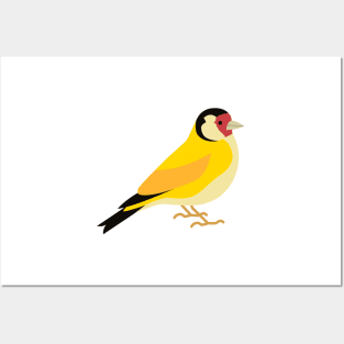 Goldfinch Posters and Art